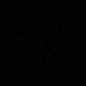 Meet your Posher, Damian